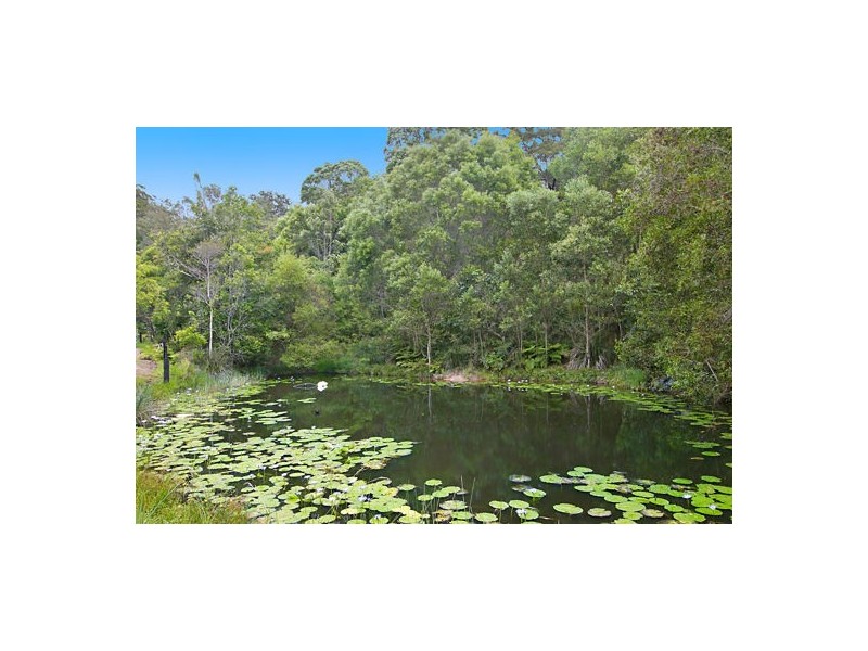 50 Jabiru Drive, Cobaki Lakes NSW 2486
