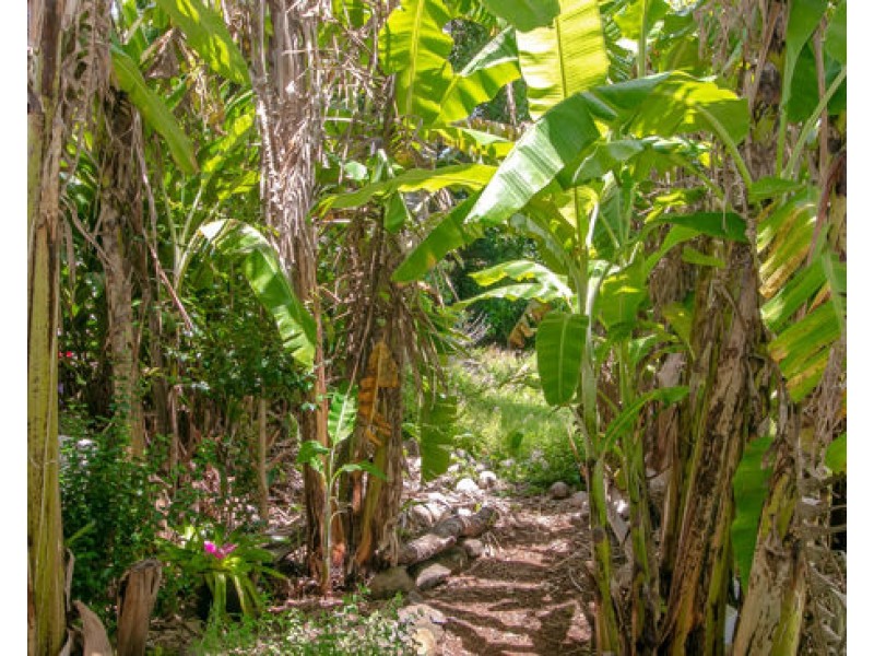 5 Diane Crescent, Bilambil Heights NSW 2486