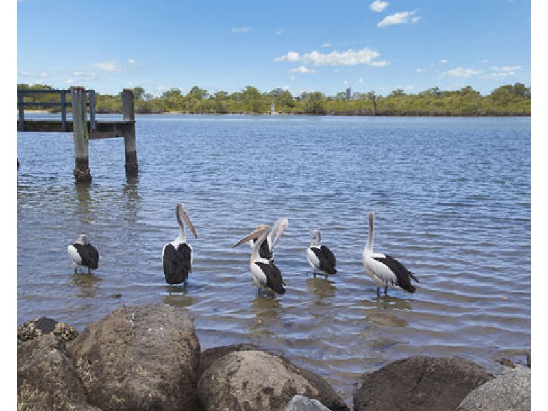 40 Sunset Blvd, Tweed Heads West NSW 2485