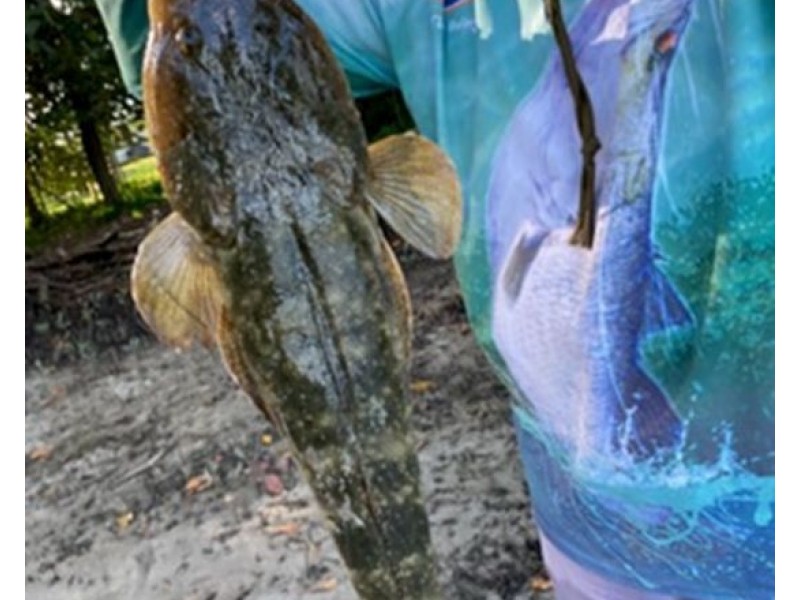 112 Sunset Boulevard, Tweed Heads West NSW 2485