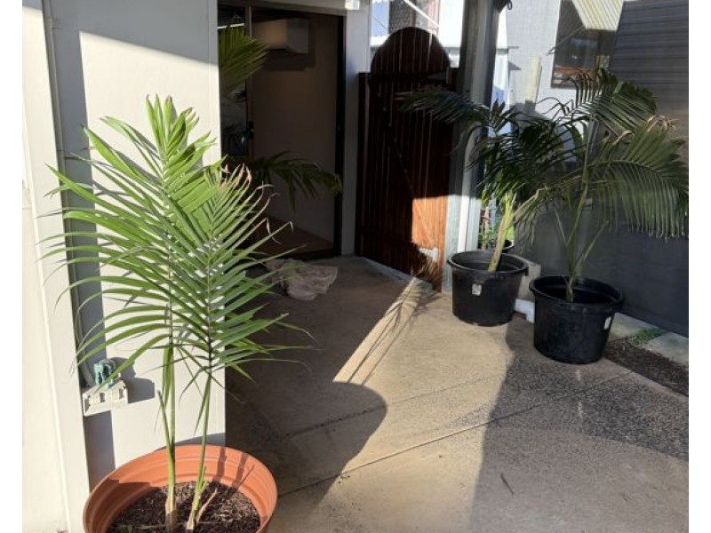 37/2 Philp Parade, Tweed Heads South NSW 2486