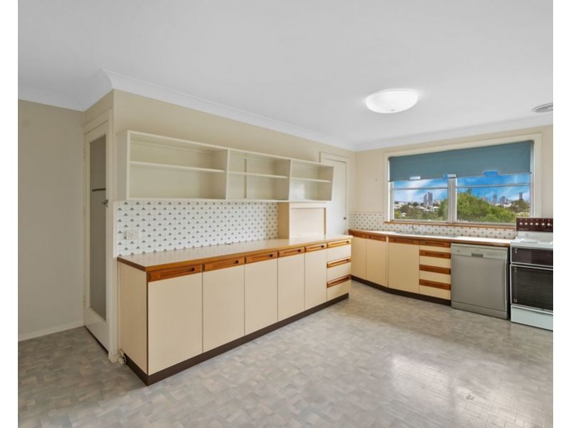 1 Wilbur St, Holland Park QLD 4121
