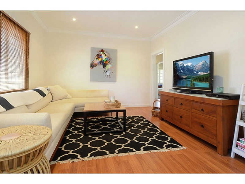 17 Ansdell Street, Mount Gravatt QLD 4122