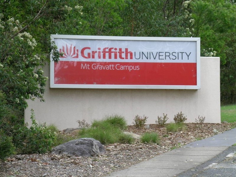 25 Trent Street, Mount Gravatt QLD 4122