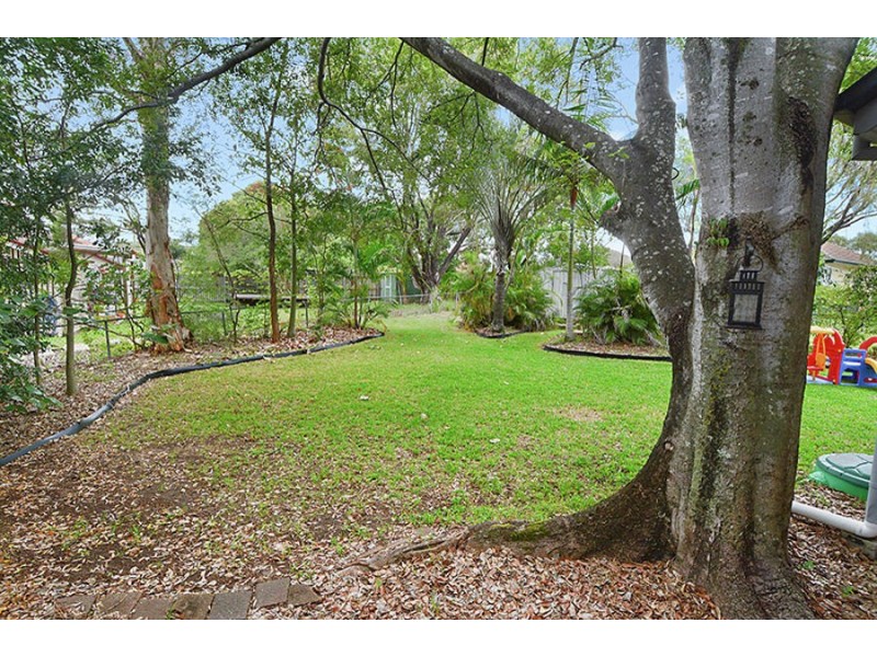 41 Patmore St, Holland Park QLD 4121