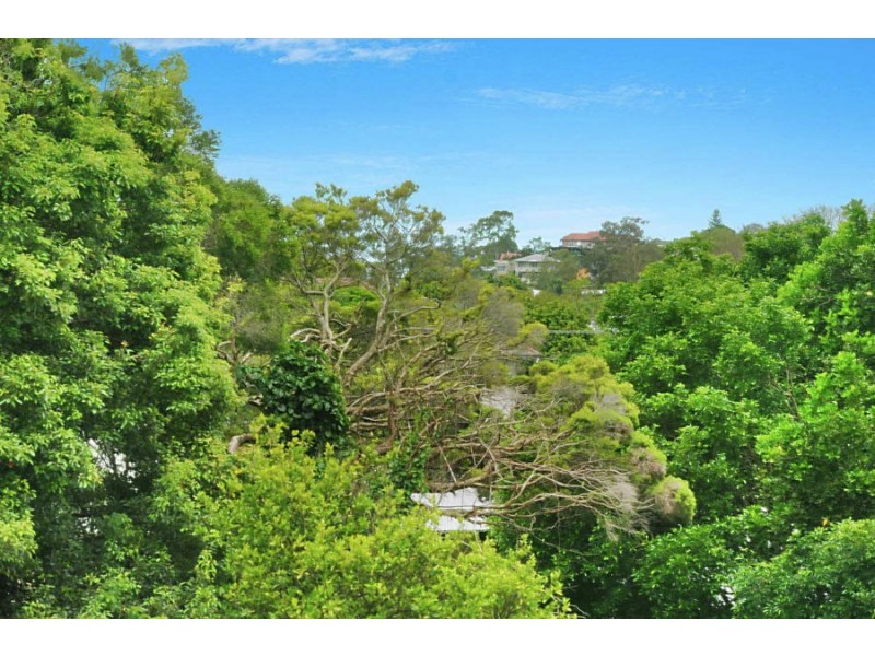 24 Pelham Street, Coorparoo QLD 4151