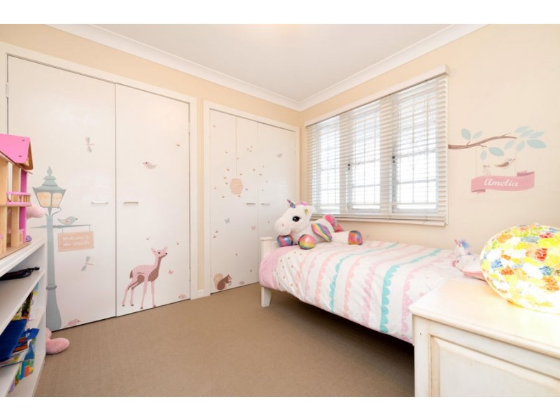 137 Watson Street, Camp Hill QLD 4152