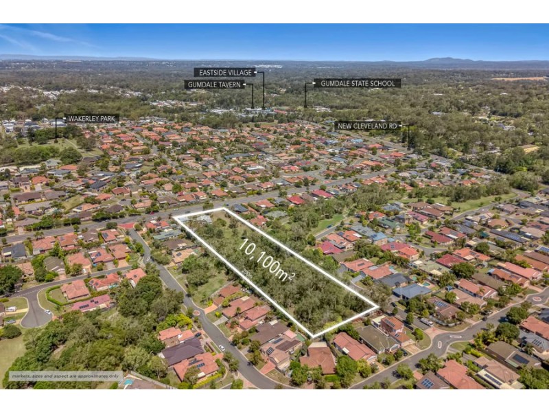 68 Caladium Street, Wakerley QLD 4154