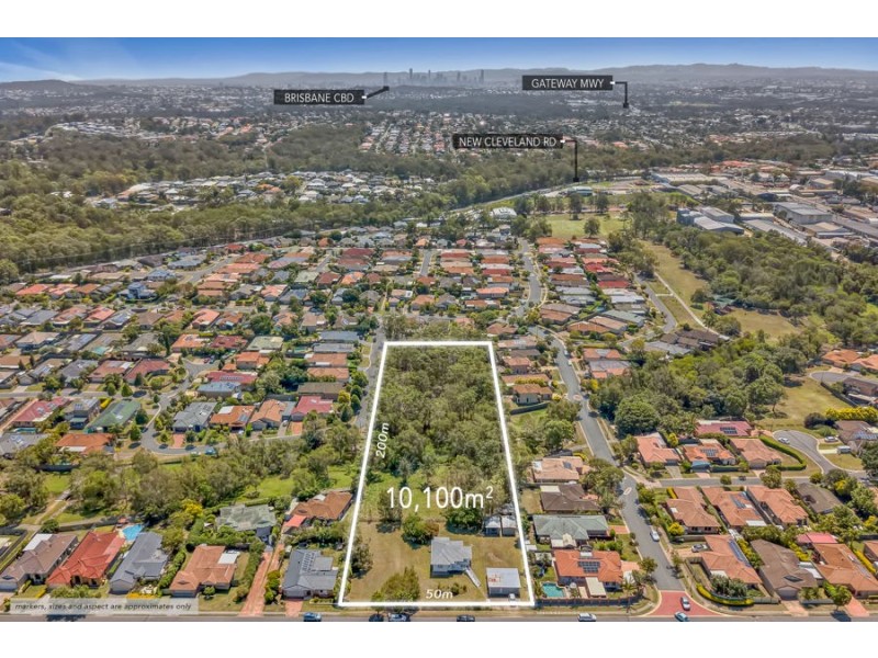 68 Caladium Street, Wakerley QLD 4154