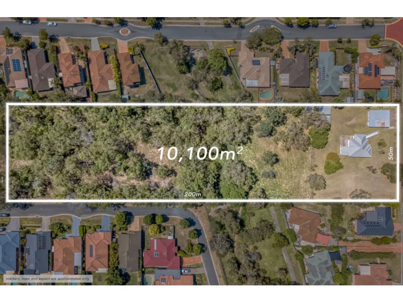 68 Caladium Street, Wakerley QLD 4154