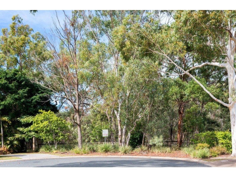 24 Moonlight Place, Capalaba QLD 4157