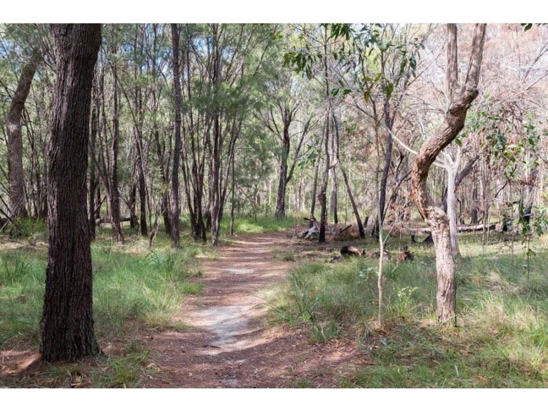 24 Moonlight Place, Capalaba QLD 4157