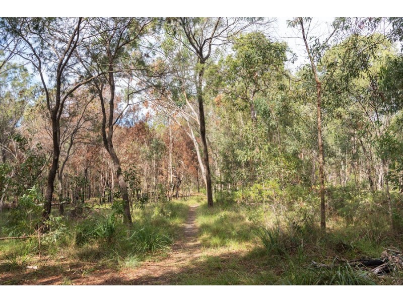 24 Moonlight Place, Capalaba QLD 4157