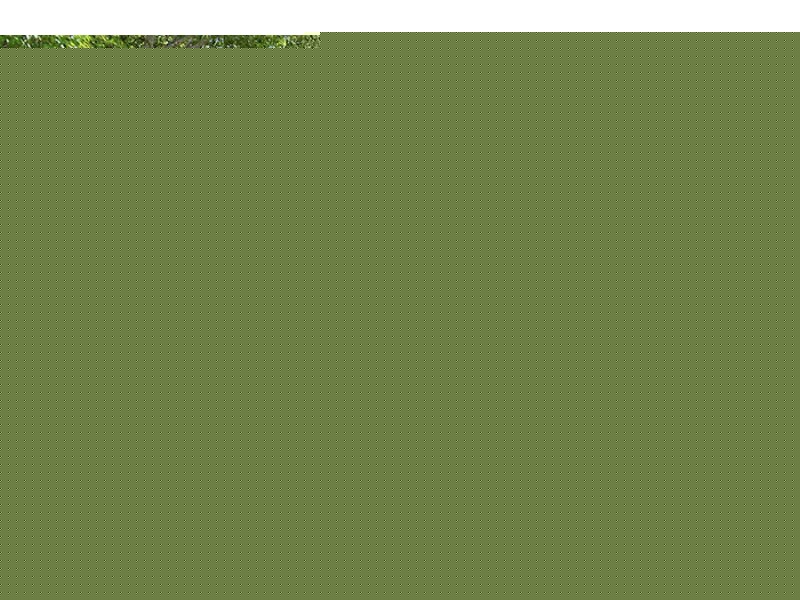 24 Waite Street, Norman Park QLD 4170