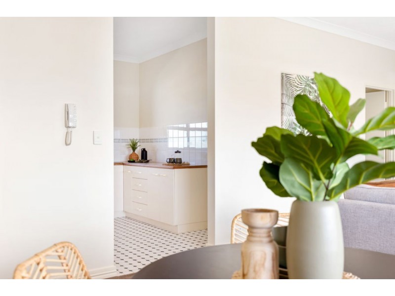 5/282 Cavendish Road, Coorparoo QLD 4151