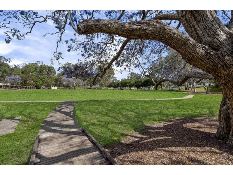 19 Park Street, Coorparoo QLD 4151