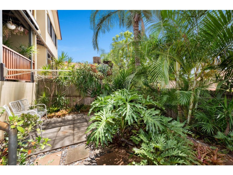 6/336 Cavendish Road, Coorparoo QLD 4151
