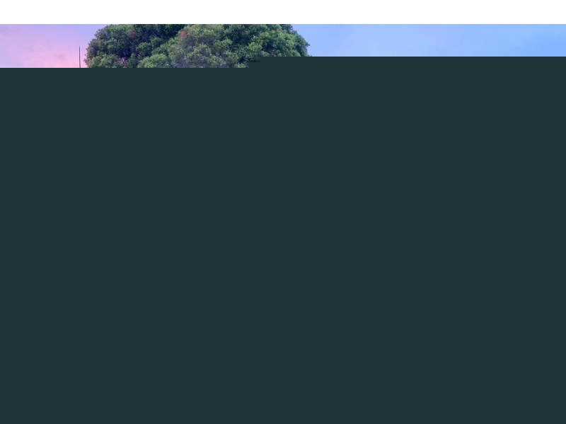 19 Naretha St, Carindale QLD 4152