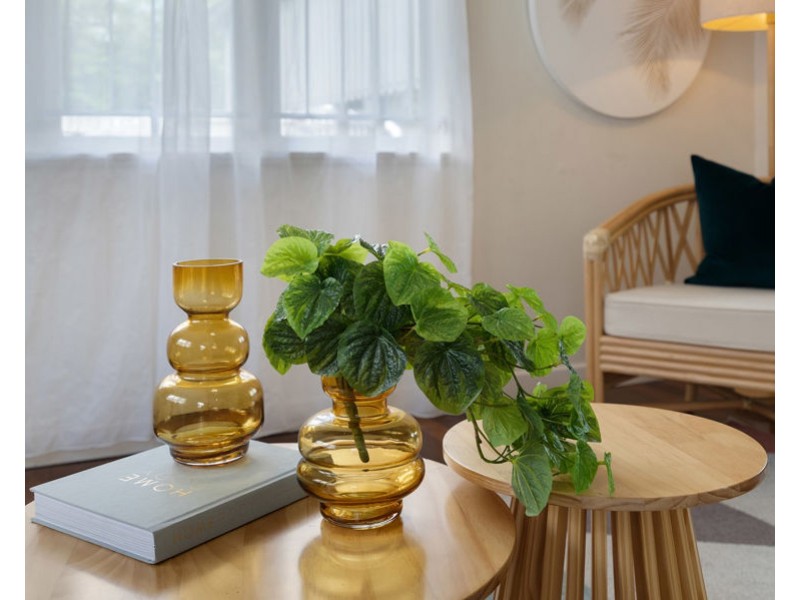 16 Shire Street, Coorparoo QLD 4151