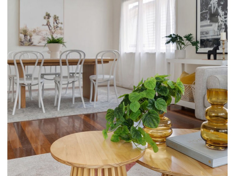 16 Shire Street, Coorparoo QLD 4151