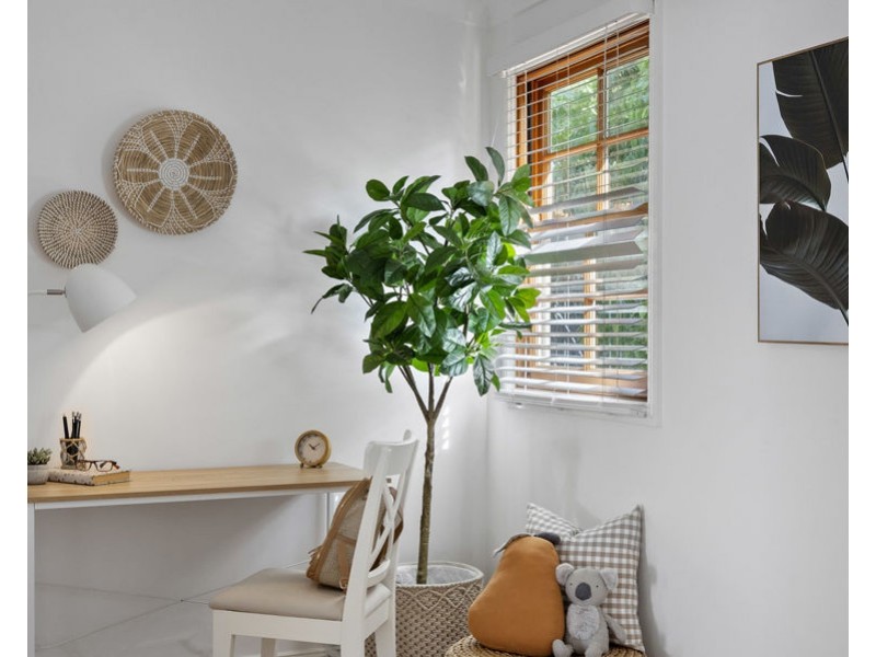 79 Raff Avenue, Holland Park QLD 4121