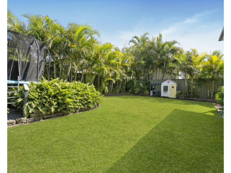 25 Beet Street, Coorparoo QLD 4151