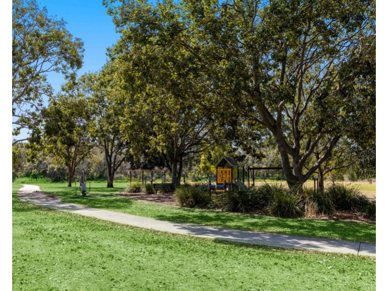 62 Jellicoe Street, Coorparoo QLD 4151