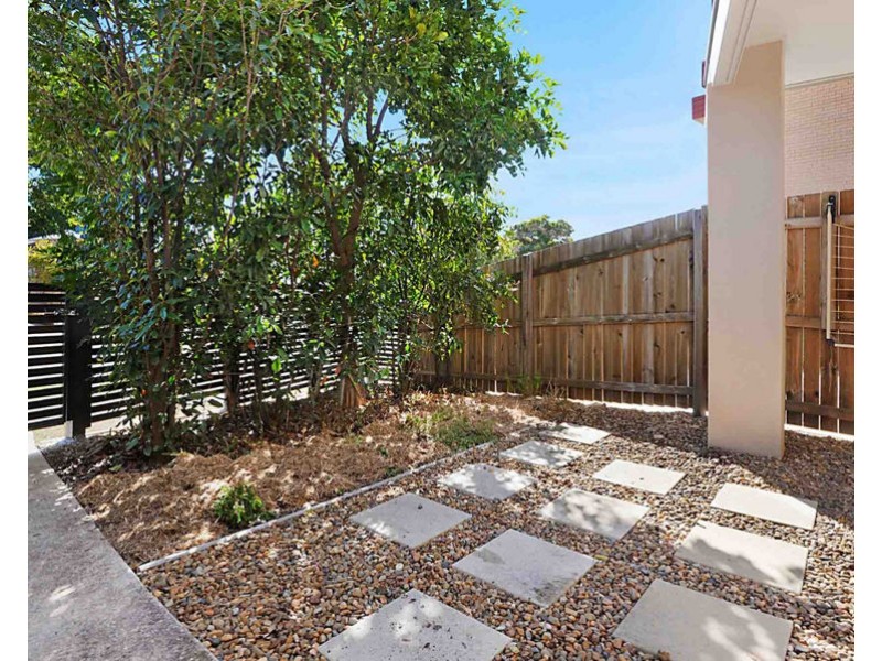 3 / 15 Rutland Street, Coorparoo QLD 4151