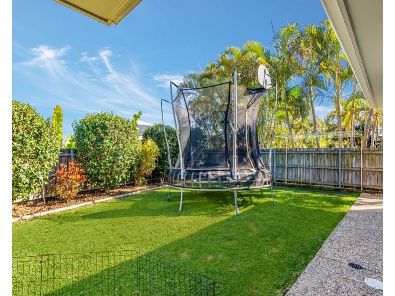 15 Wills st, Coorparoo QLD 4151