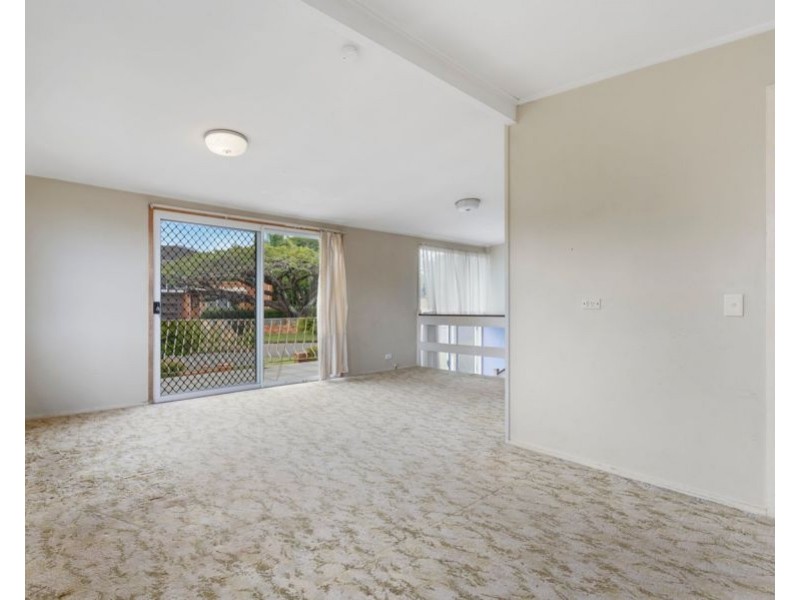 19 Milliner Street, Nudgee QLD 4014