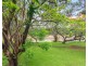 65 Ormadale Road, Yeronga QLD 4104