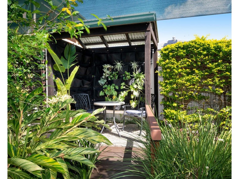 57 Amelia Street, Coorparoo QLD 4151