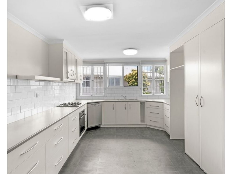 58 Rigel Street, Coorparoo QLD 4151