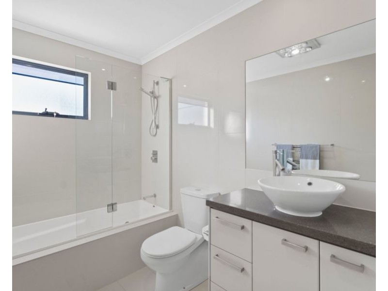 14/265 Cavendish Rd, Coorparoo QLD 4151