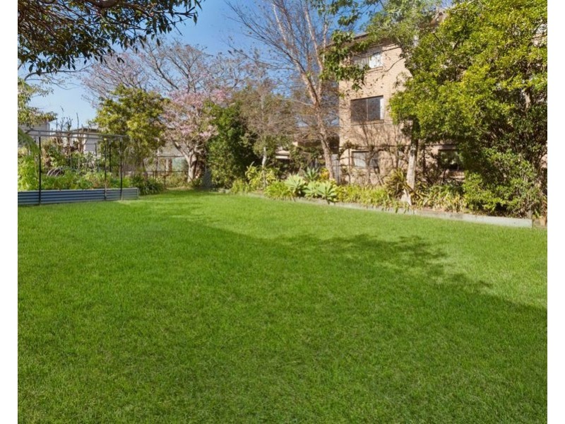 29 Joffre Street, Coorparoo QLD 4151