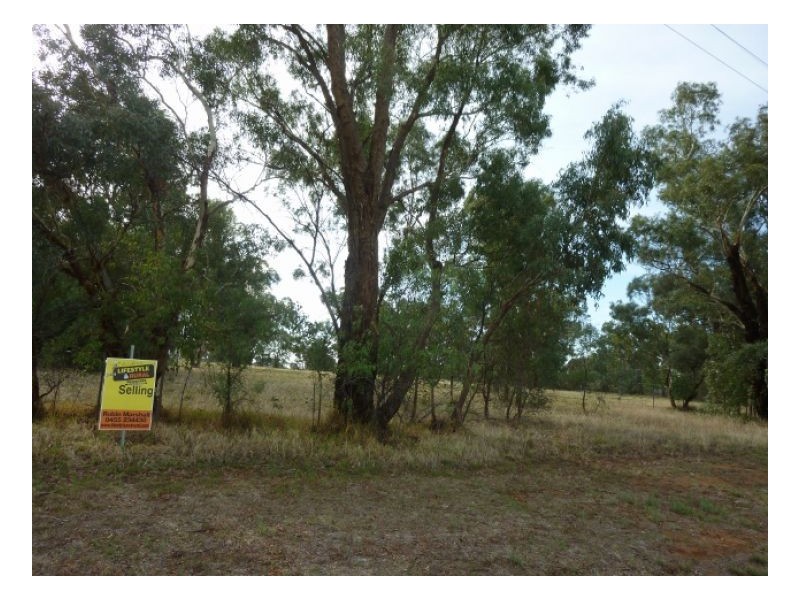 38-40 COREEN ST, Oaklands NSW 2646