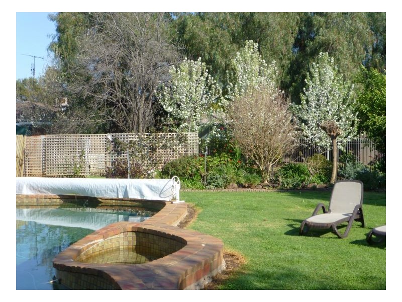 33 COBRAM ST, Berrigan NSW 2712