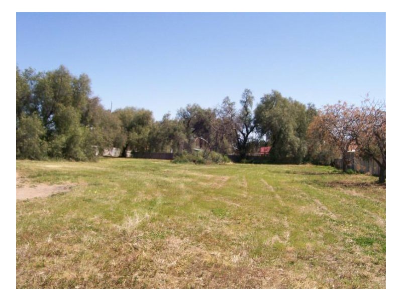 53-59 JERILDERIE ST, Berrigan NSW 2712