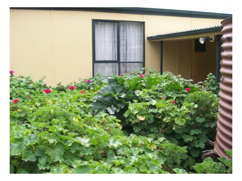 109a JERILDERIE ST, Berrigan NSW 2712