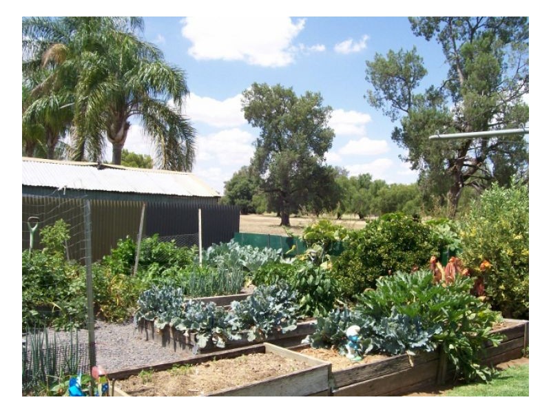 8 GOLF VIEW CT, Berrigan NSW 2712