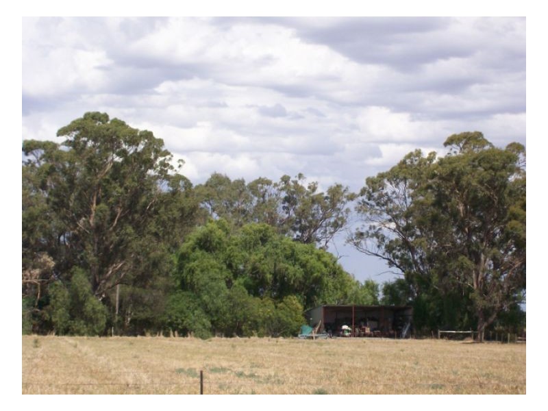 SANJI PARK, Berrigan NSW 2712