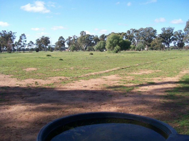 114-119 Woodstock Rd, Berrigan NSW 2712