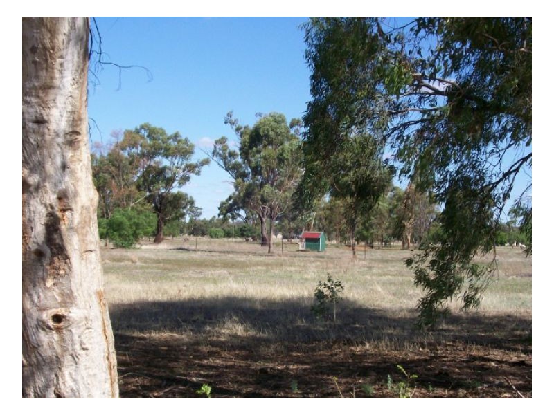 114-119 Woodstock Rd, Berrigan NSW 2712