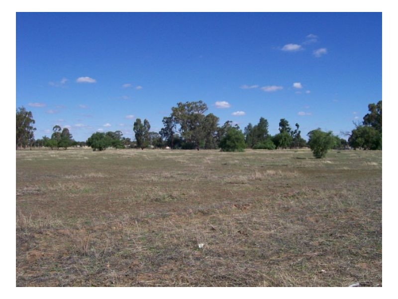 114-119 Woodstock Rd, Berrigan NSW 2712