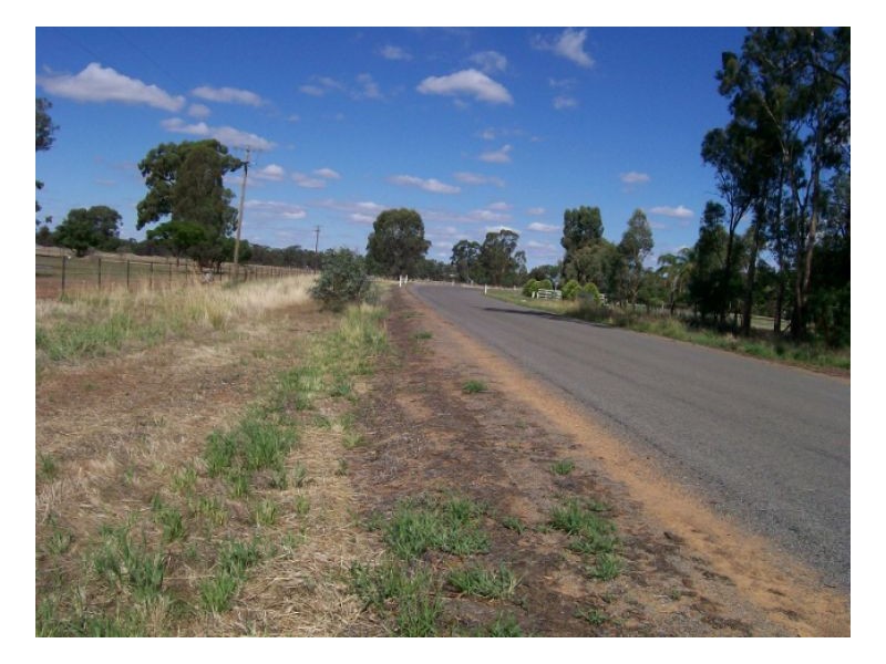 114-119 Woodstock Rd, Berrigan NSW 2712