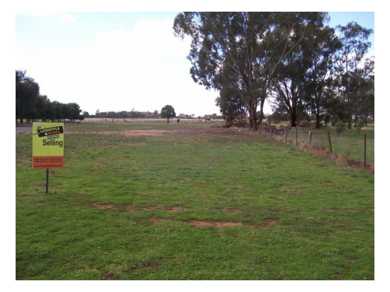 Lot 10 43 William Street, Berrigan NSW 2712