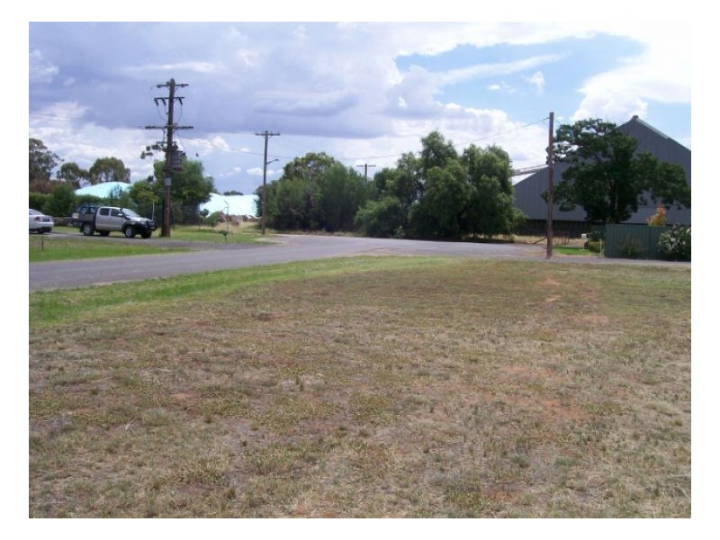 Lot 10 43 William Street, Berrigan NSW 2712