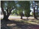 lots 13-14 Chanter St, Berrigan NSW 2712