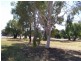 lots 13-14 Chanter St, Berrigan NSW 2712