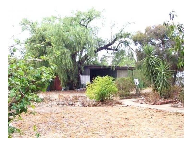 62 Buller St, Oaklands NSW 2646